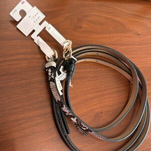 Two New Belts, A New Day